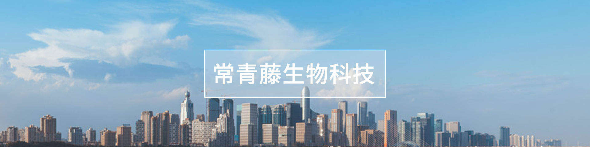 常青藤健康方案,葡萄藍莓粉健康方案