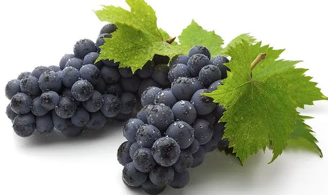 吃葡萄籽粉好處