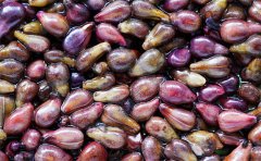 葡萄籽粉代加工廠家(葡萄籽提取物原料價位多少)