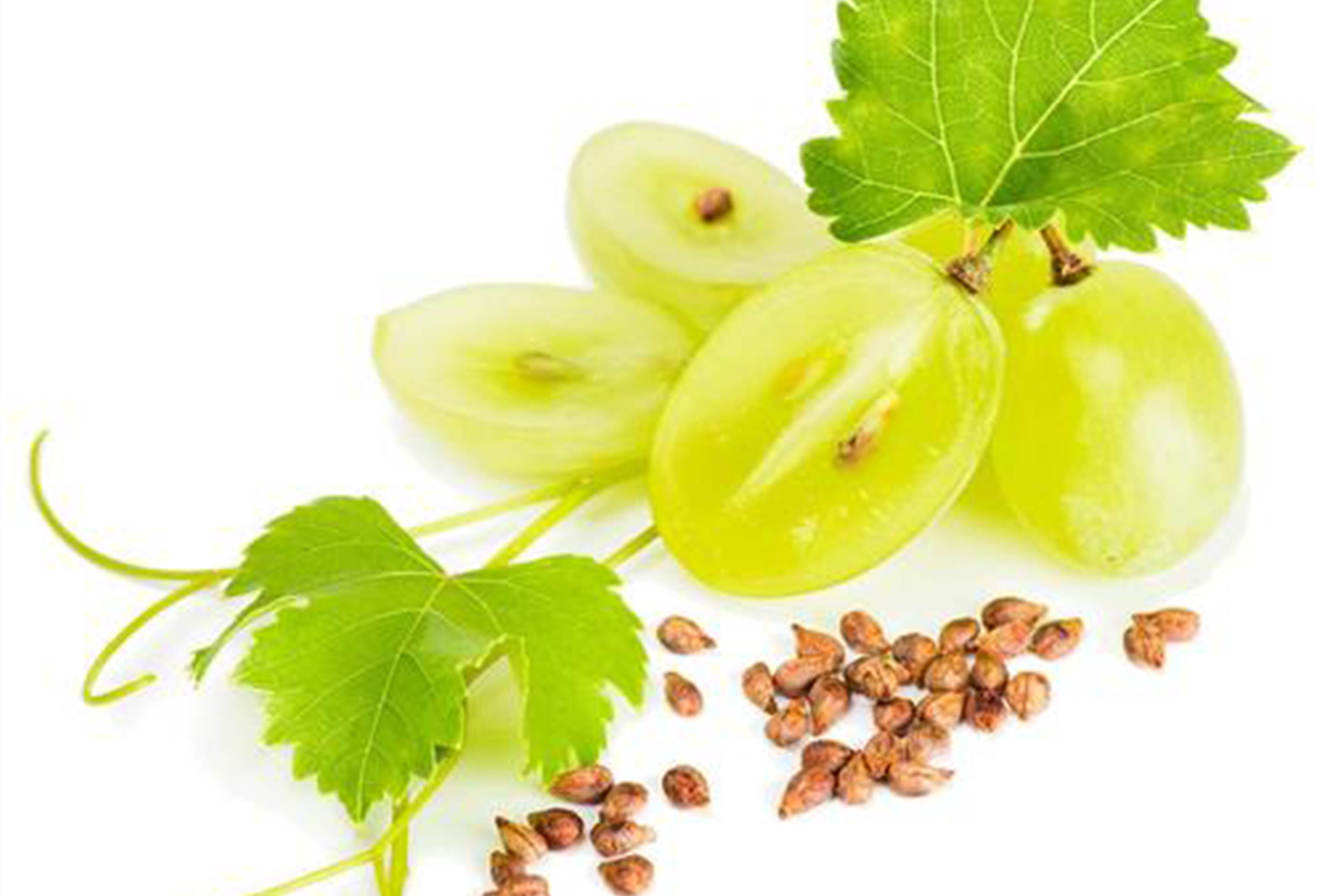 <b>吃葡萄粉葡萄籽提取物好處多是什么？</b>